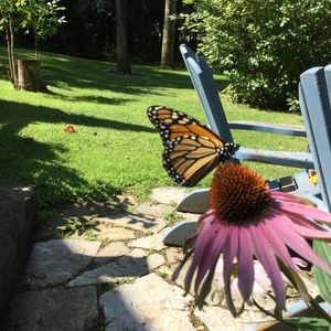 Meet your Posher, Leslie